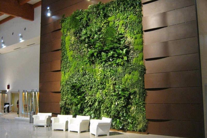 Вертикальное озеленение в гостиницах 