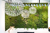 Вертикальный сад в выставочном зале и офисе в Дубае