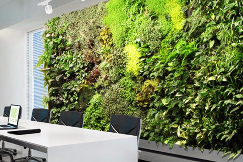 Вертикальное озеленение в офисах и административных помещениях